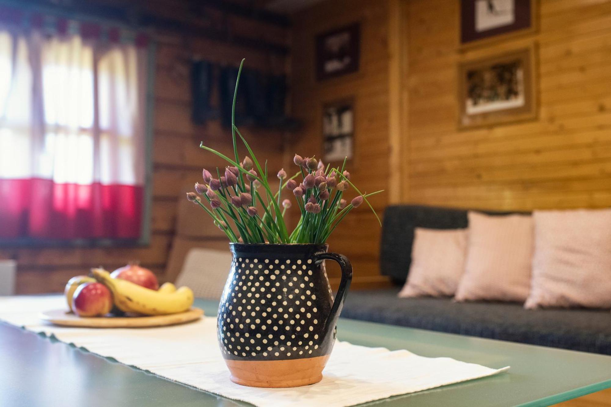 Chata Krajinka Zdiar Bagian luar foto